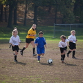 IMG 0088